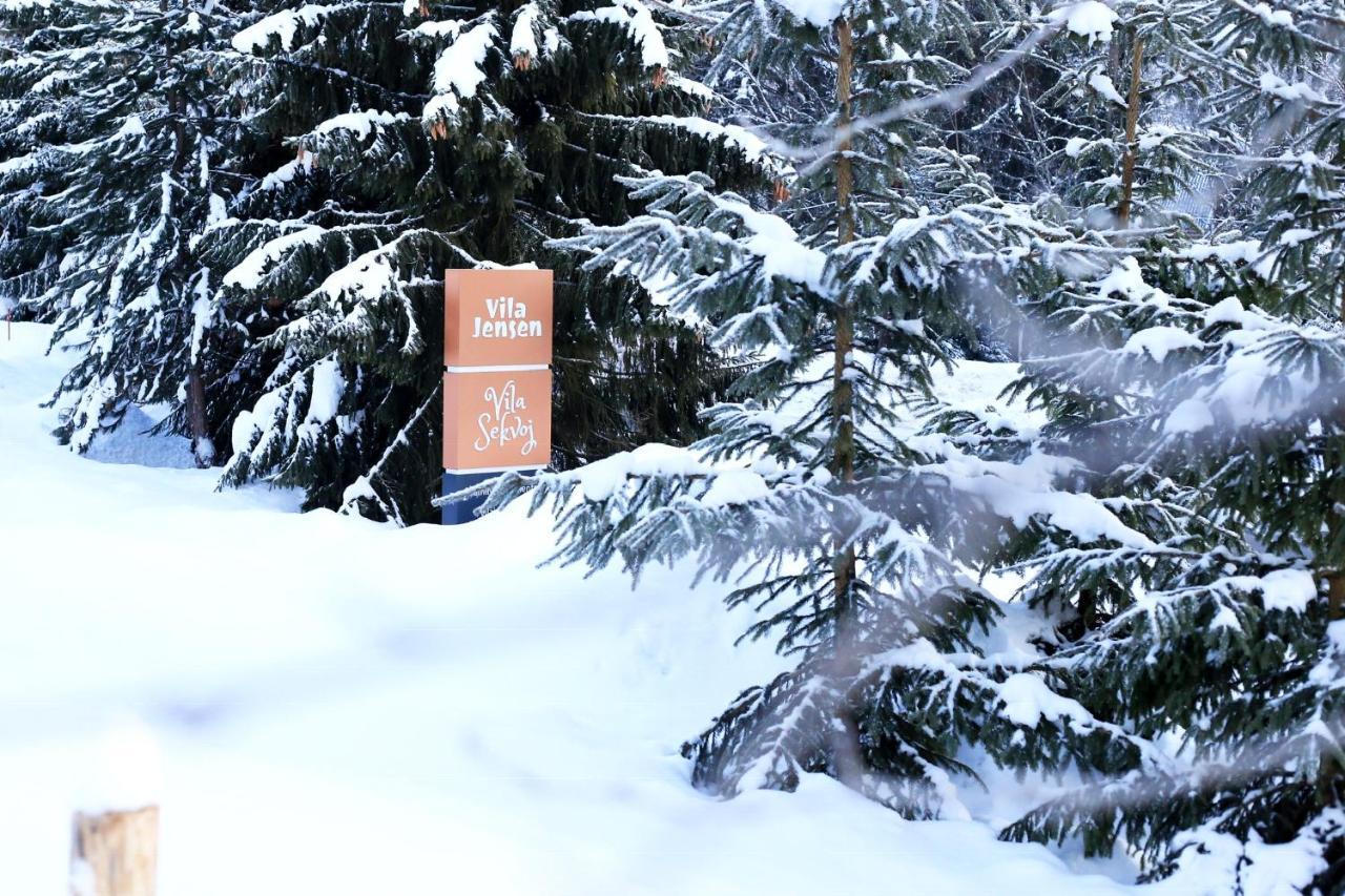 Vila Sekvoj Harrachov Bagian luar foto
